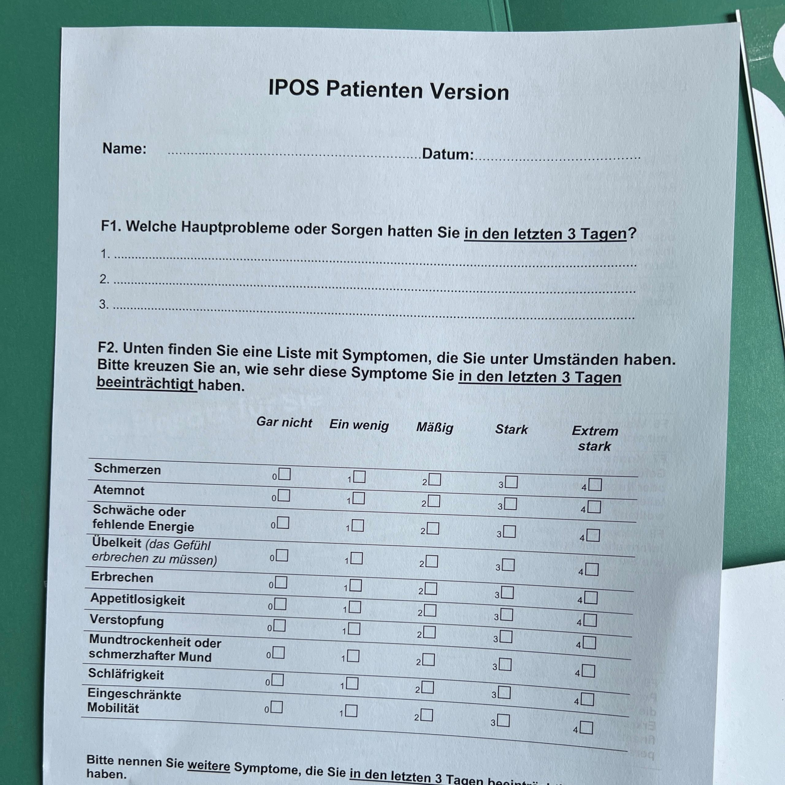 IPOS-Formular in der Patienten-Version